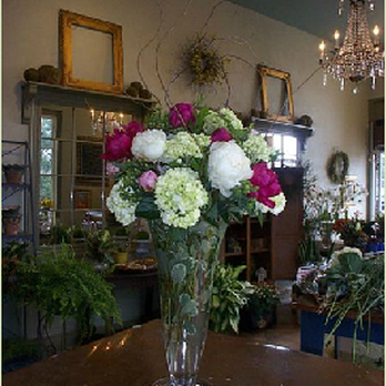 Stems - Florists Near Me - Winchester, Massachusetts Stems - Florists Near Me - Winchester, Massachusetts