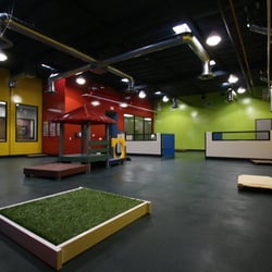 pampered pet hotel & spa