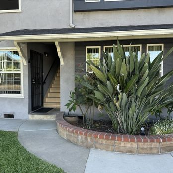A's Tree Service - See how big the bush is. A's tree service cleaned it up - Tree Services Near Me - Placentia, California A's Tree Service - See how big the bush is. A's tree service cleaned it up - Tree Services Near Me - Placentia, California