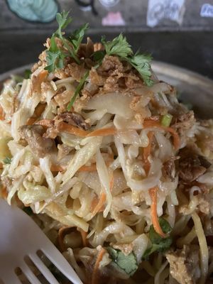 Burmese Delight by null