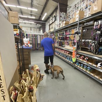 Dog Supplies - Leash section - Pet Stores Near Me - Huntersville, North Carolina