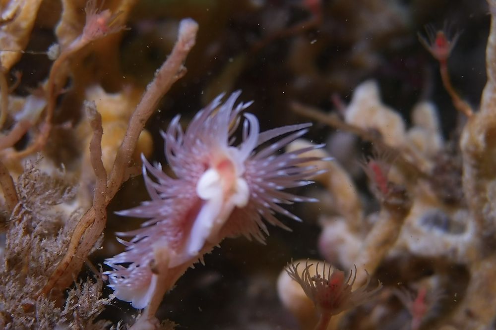 Social spots from Aquatic Specialties