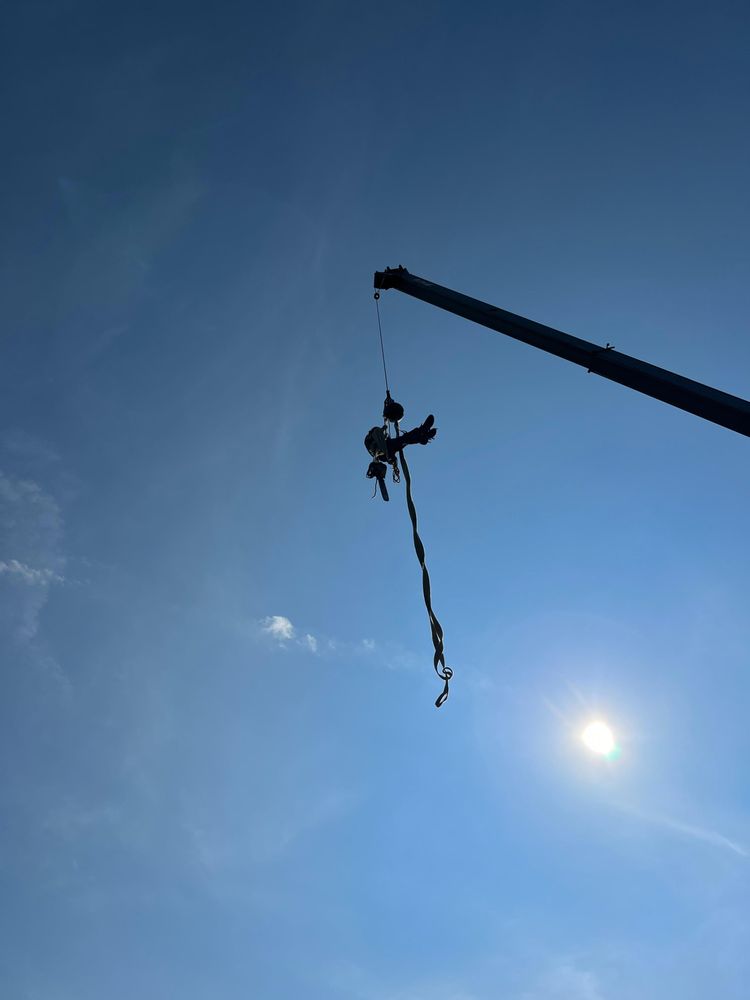 Cincinnati Arbor Services - tree service in Amelia, OH