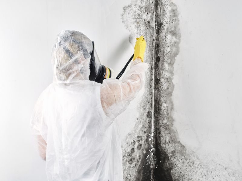 Palmetto Mold Experts - mold inspector in Lexington, SC