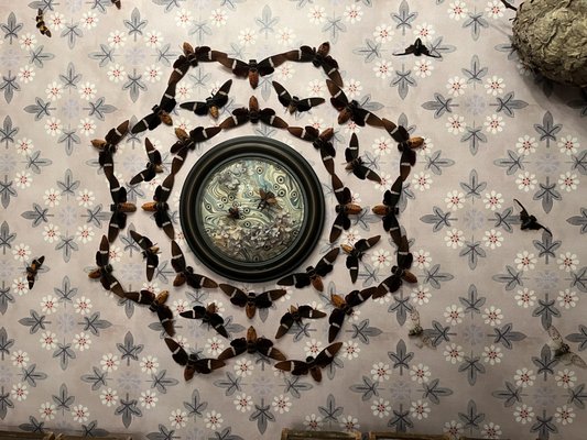 Brandywine Museum of Art by null