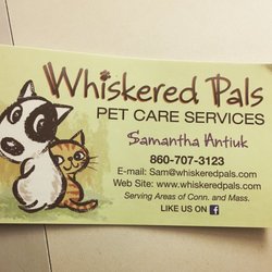 Whiskered Pals - Whiskered Pals
