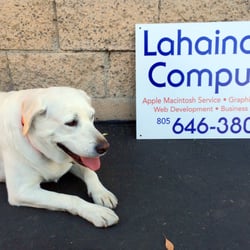 Lahaina Computer - The new Lahaina computer sign and our mascot Sandy.