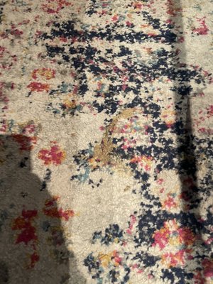 Photo of Cleanzen - Chicago, IL, US. Non vacuumed carpet