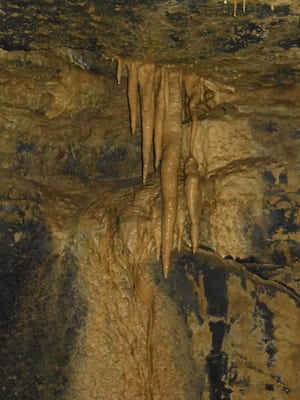 Aillwee Burren Experience by null