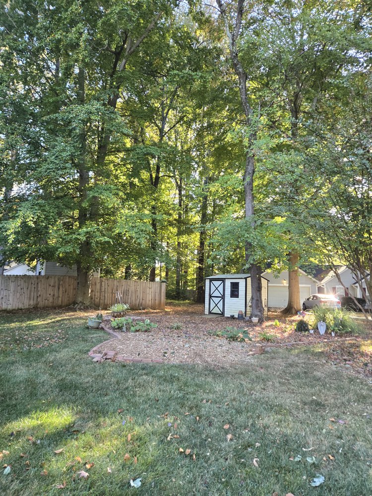 Gomez Tree Service - tree service in Charlotte, NC