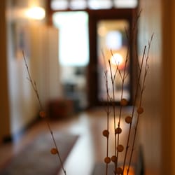 Trillium Acupuncture