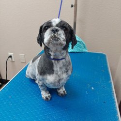 Grooming By Tonya