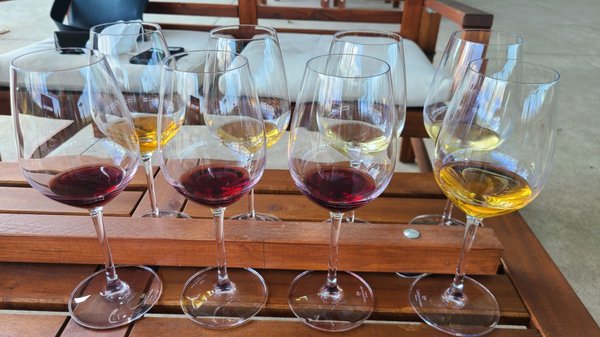 Southbrook Organic Vineyards by null