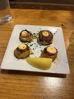 Ship Bottom Shellfish by null