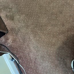 It's possible that Abraham Lincoln may have walked on this outdated carpet. Gross! It's possible that Abraham Lincoln may have walked on this outdated carpet. Gross!