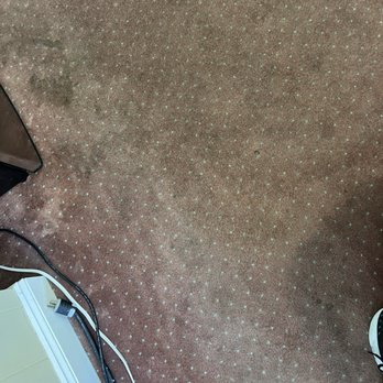 Simmons Motel - It's possible that Abraham Lincoln may have walked on this outdated carpet. Gross! - Hotels Near Me - Hershey, Pennsylvania Simmons Motel - It's possible that Abraham Lincoln may have walked on this outdated carpet. Gross! - Hotels Near Me - Hershey, Pennsylvania