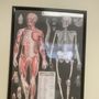 Photo of Seaview Orthopaedic Medical Group