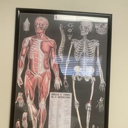 Seaview Orthopaedic Medical Group - Very attractive lol