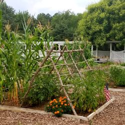 George Washington's Ferry Farm