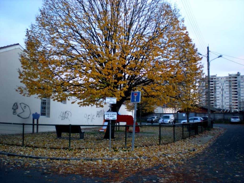 Place du Colonel Moll