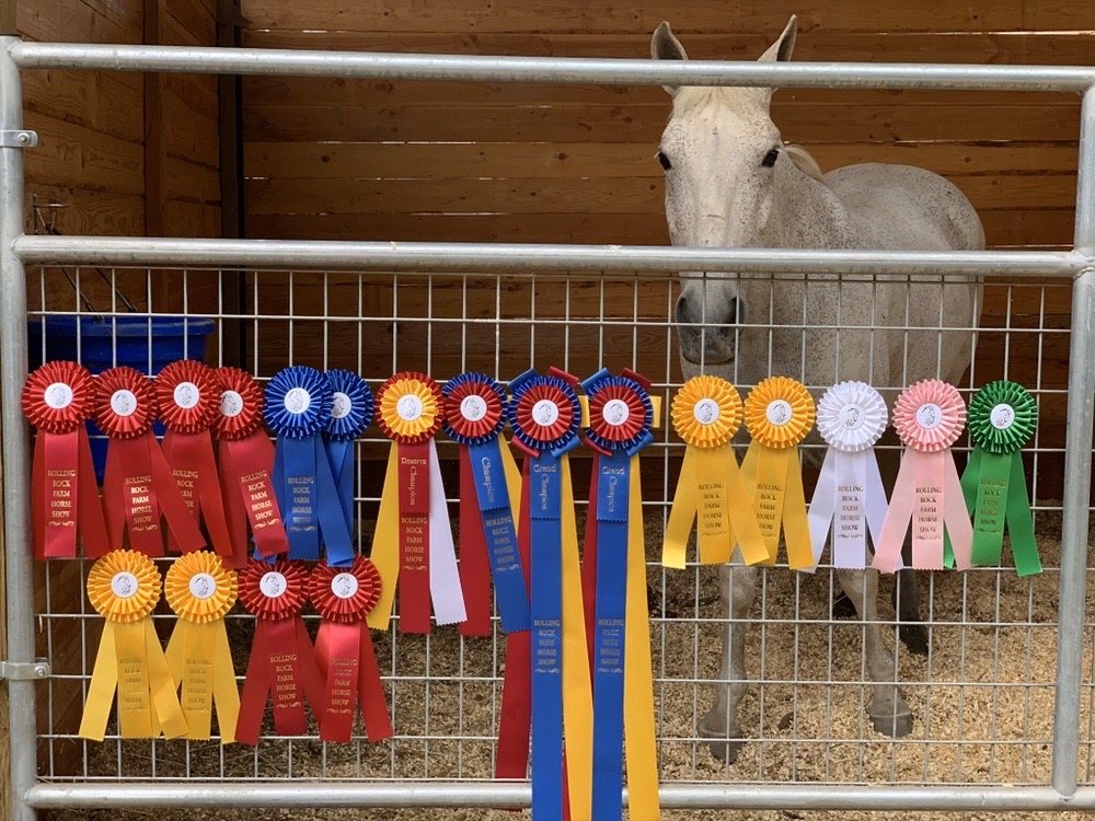 Goin Places Riding School - equestrian in Sherwood, OR