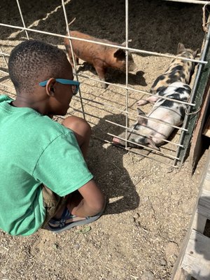 Gilchrist Farm by null