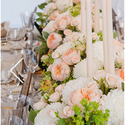 Flower Parade