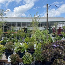 Potomac Garden Center - Urbana
