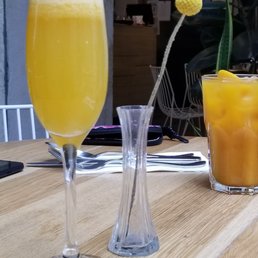 Mimosa ...