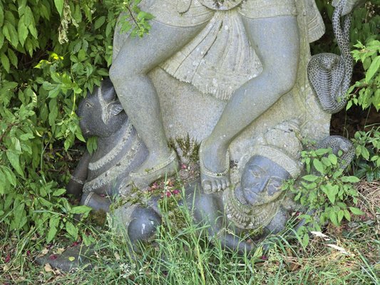 Victor's Way by null