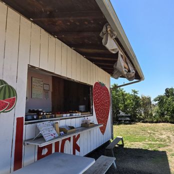 Yumm Strawberry - Elk Grove - Fruits & Veggies Near Me - Elk Grove, California
