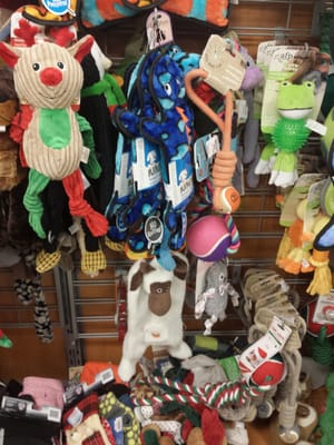 TJ MAXX - Updated October 2025 - 17 Photos & 72 Reviews - 1630 E 15th