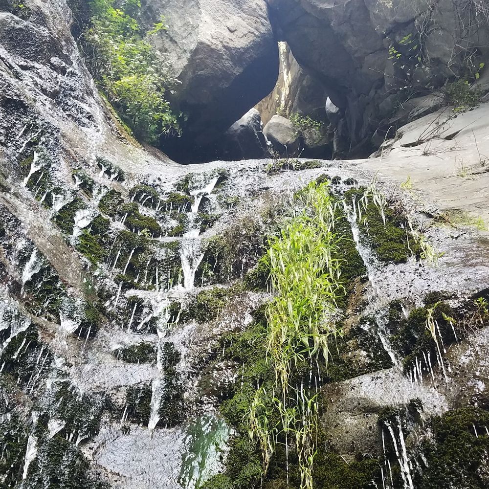 Millard Canyon - Parks Near Me - Altadena, California Millard Canyon - Parks Near Me - Altadena, California