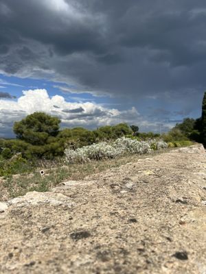 Passeig Arqueològic by null