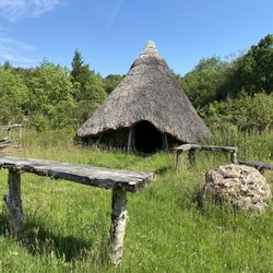 Bowland Wild Boar Park