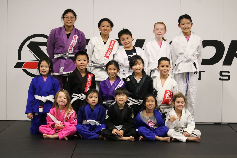 Sektor Jiu Jitsu West Covina Logo