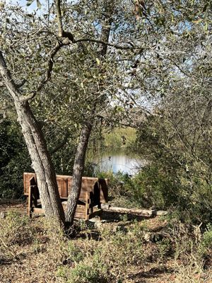 Shipley Nature Center by null