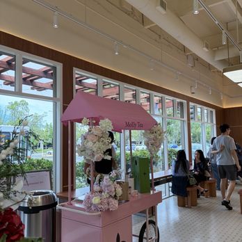 Molly Tea - Bubble Tea Near Me - Cupertino, California