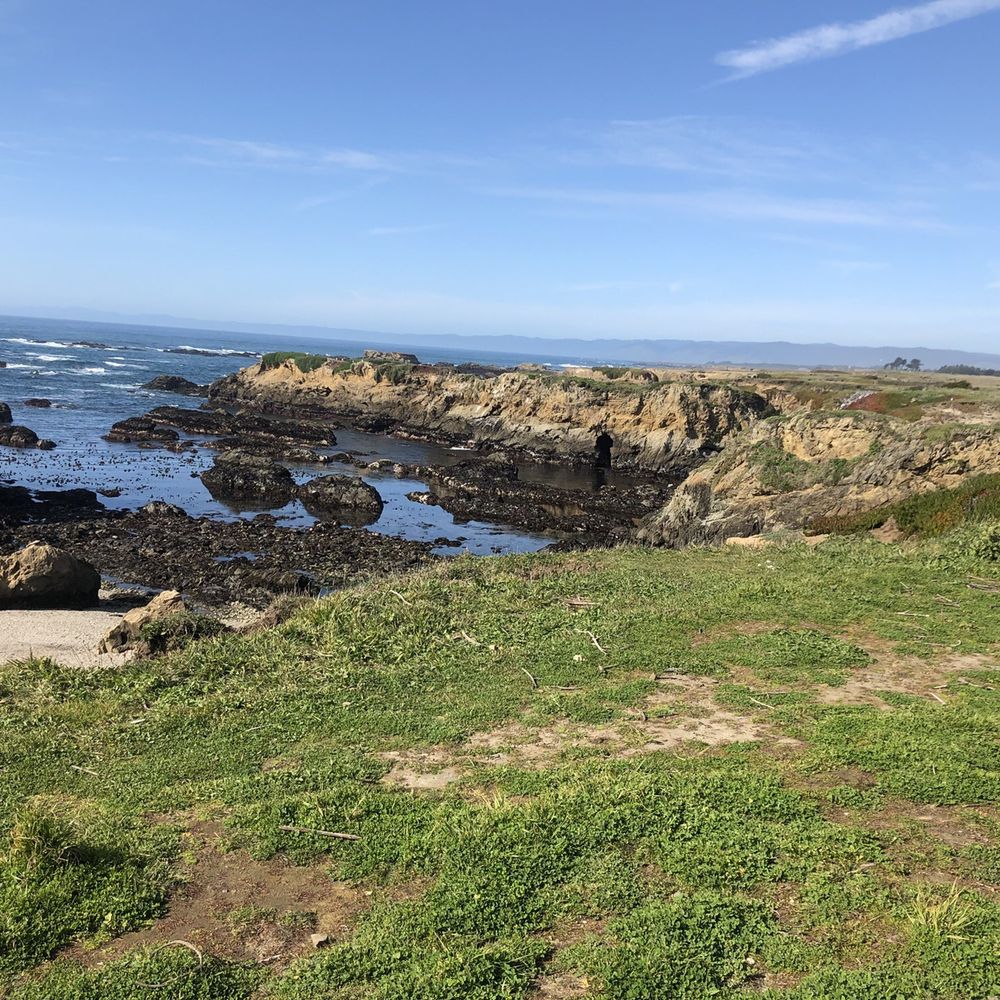 Noyo Headlands Park - Hiking Near Me - Fort Bragg, California Noyo Headlands Park - Hiking Near Me - Fort Bragg, California