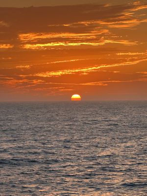 The Tin Fish by null