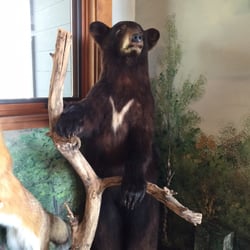 Chippewa Moraine Ice Age Unit - I love bears