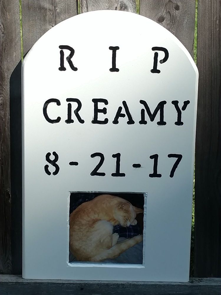 NORTHERN TIER VETERINARY CLINIC Updated September 2024 218 W Main