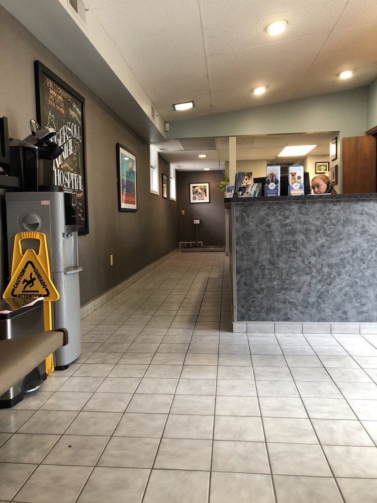 INGERSOLL ANIMAL HOSPITAL 31 Photos & 25 Reviews Veterinarians