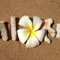 The Maui Touring Company