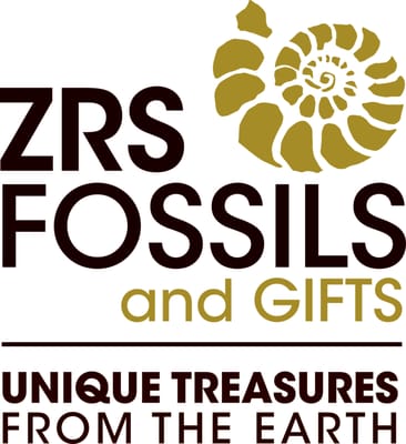 ZRS Fossils & Gifts by null