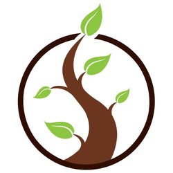 Family Wellness Acupuncture - FWA Logo