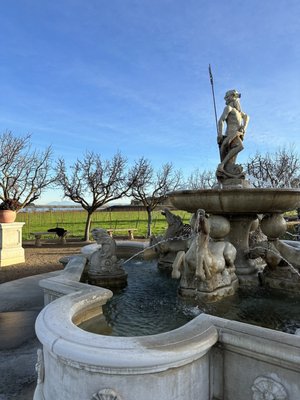 The Olive Press by null