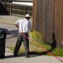 Photo of Meier's Landscape Maintenance