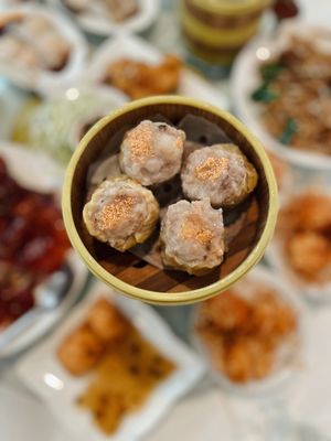 Fu Lam Mum by null