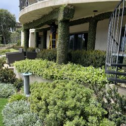 Martinez pro landscaping
